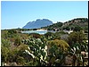 DSCF2021.JPG