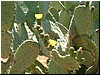 DSCF2025.JPG