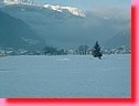 DSCF0064.JPG