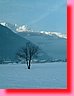 DSCF0065.JPG