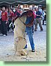 IMG_0536.JPG