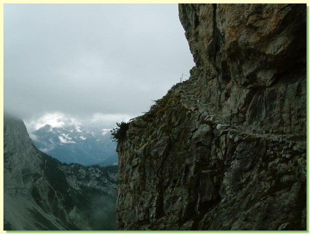 DSCF8315.JPG