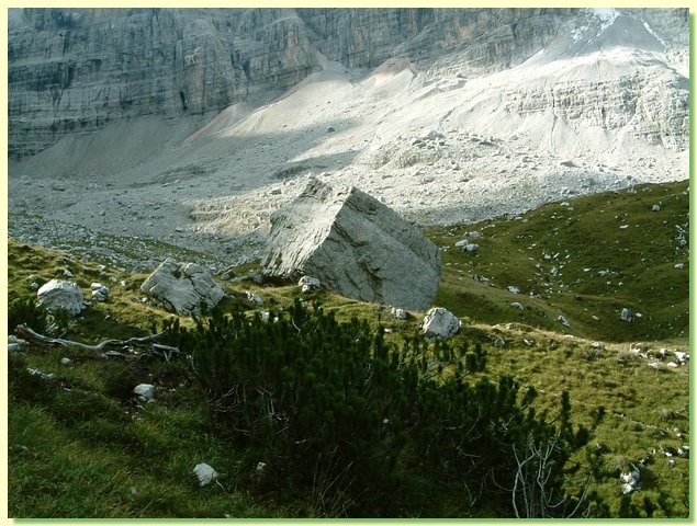 DSCF8353.JPG