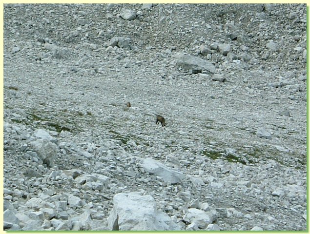 DSCF8356.JPG