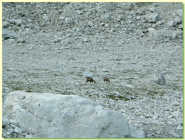 DSCF8358.JPG