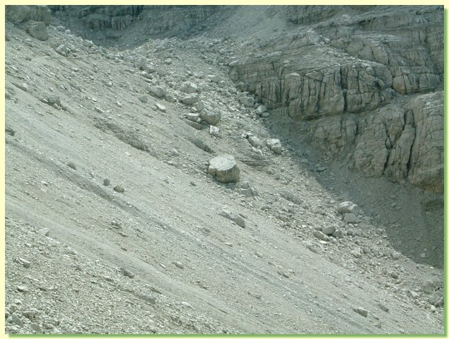 DSCF8430.JPG