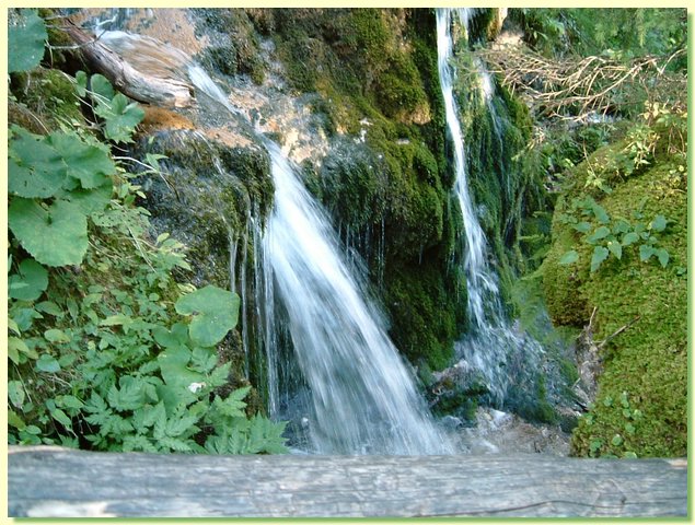 DSCF8461.JPG