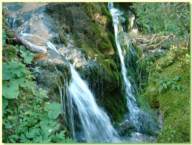 DSCF8462.JPG