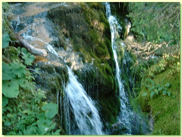 DSCF8463.JPG