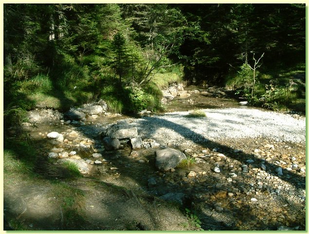 DSCF8464.JPG