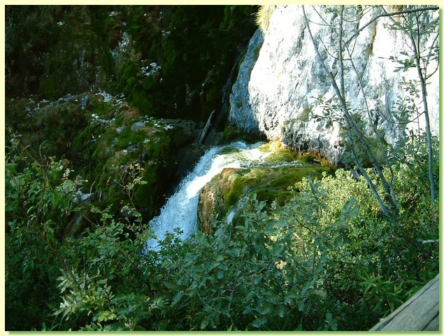DSCF8466.JPG
