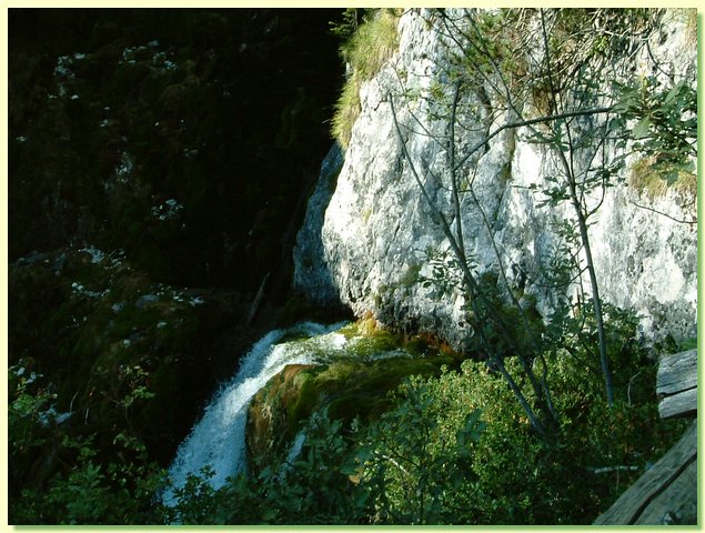 DSCF8467.JPG