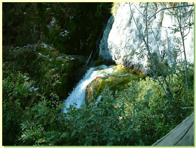 DSCF8468.JPG