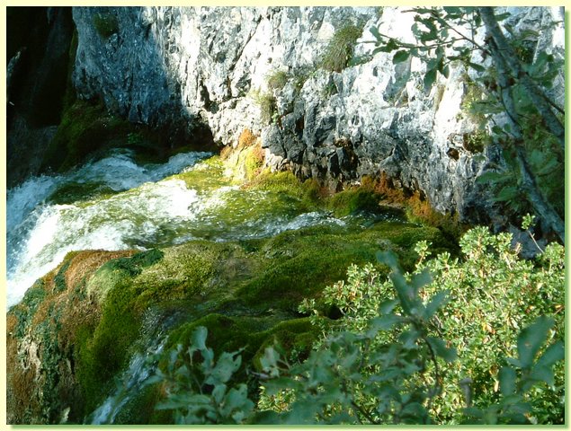DSCF8469.JPG