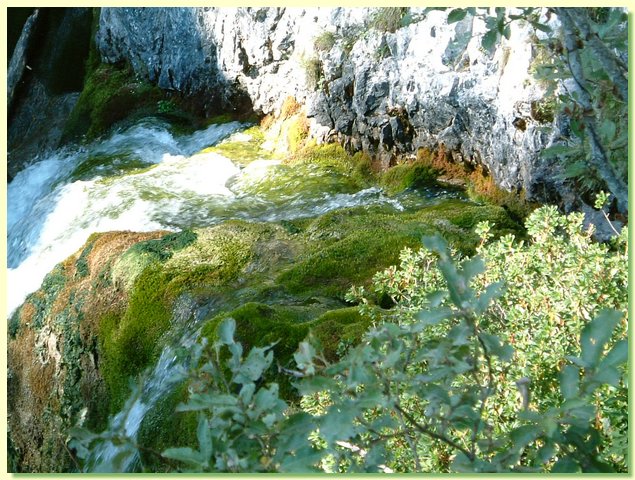 DSCF8470.JPG