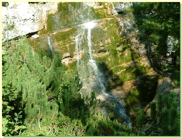 DSCF8474.JPG