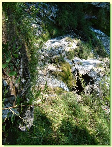 DSCF8476.JPG