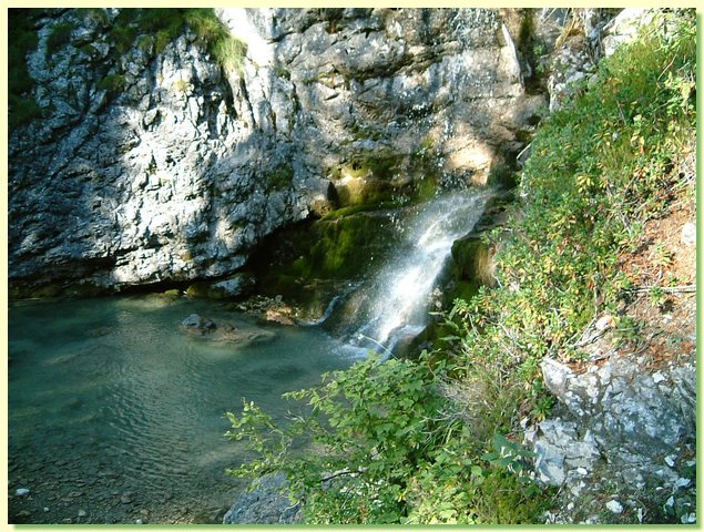 DSCF8479.JPG