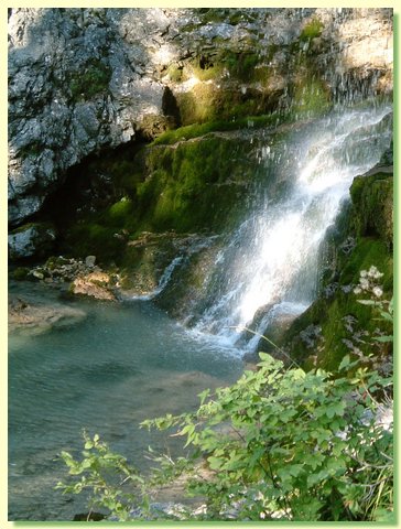DSCF8480.JPG