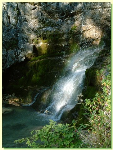 DSCF8481.JPG