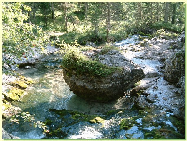 DSCF8485.JPG