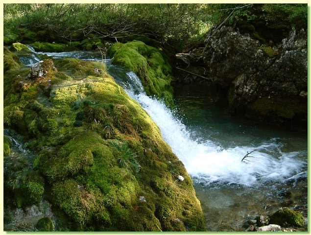 DSCF8496.JPG