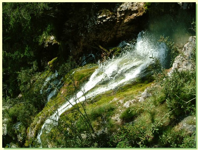 DSCF8499.JPG