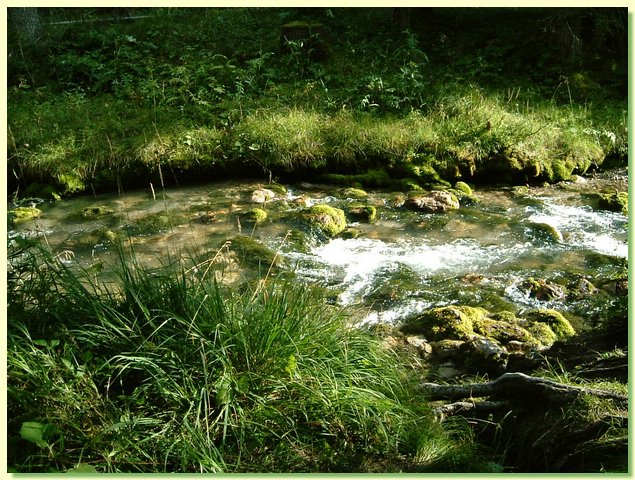 DSCF8505.JPG