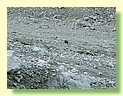 DSCF8355.JPG