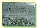 DSCF8360.JPG