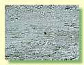 DSCF8361.JPG