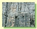 DSCF8383.JPG