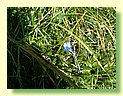 DSCF8448.JPG