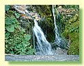 DSCF8460.JPG
