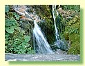 DSCF8461.JPG