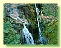 DSCF8463.JPG