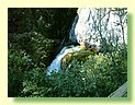 DSCF8466.JPG