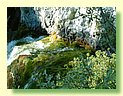 DSCF8469.JPG