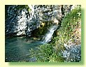 DSCF8479.JPG