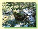 DSCF8485.JPG