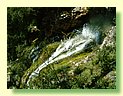 DSCF8499.JPG