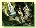 DSCF8501.JPG