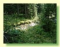 DSCF8503.JPG
