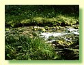 DSCF8505.JPG