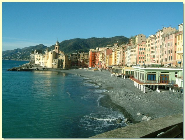 DSCF0011.JPG