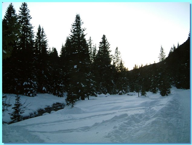 enro112.JPG