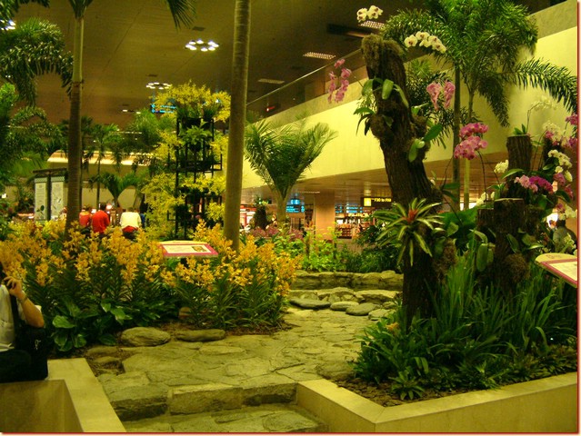 DSCF3386.JPG