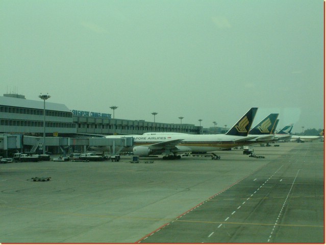 DSCF3388.JPG