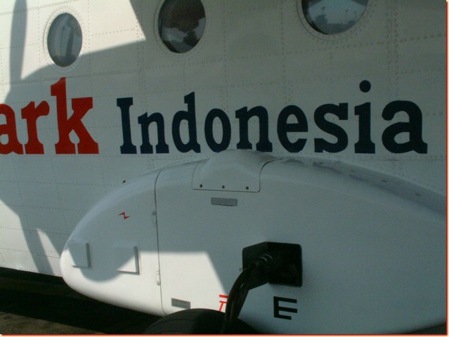 DSCF3447.JPG
