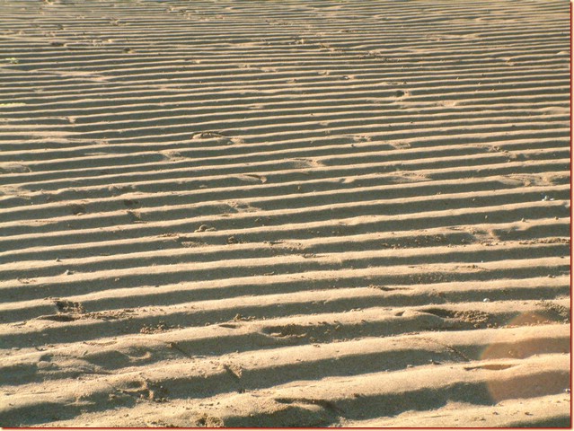DSCF3814.JPG